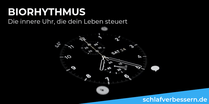 Biorhythmus: Die innere Uhr, die dein Leben steuert