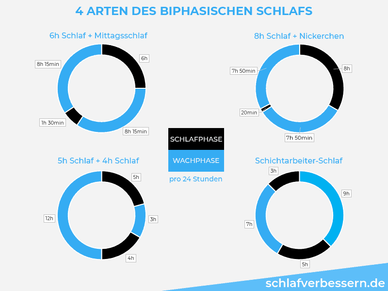 biphasischer-schlaf-arten