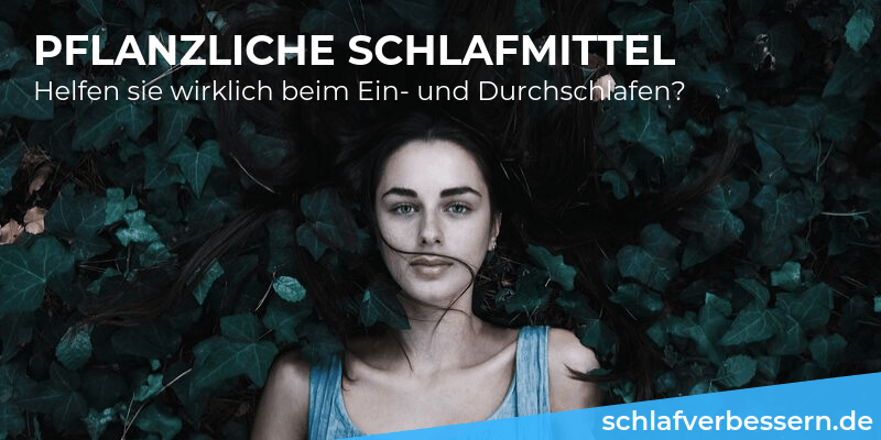 pflanzliche-schlafmittel-zum-durchschlafen