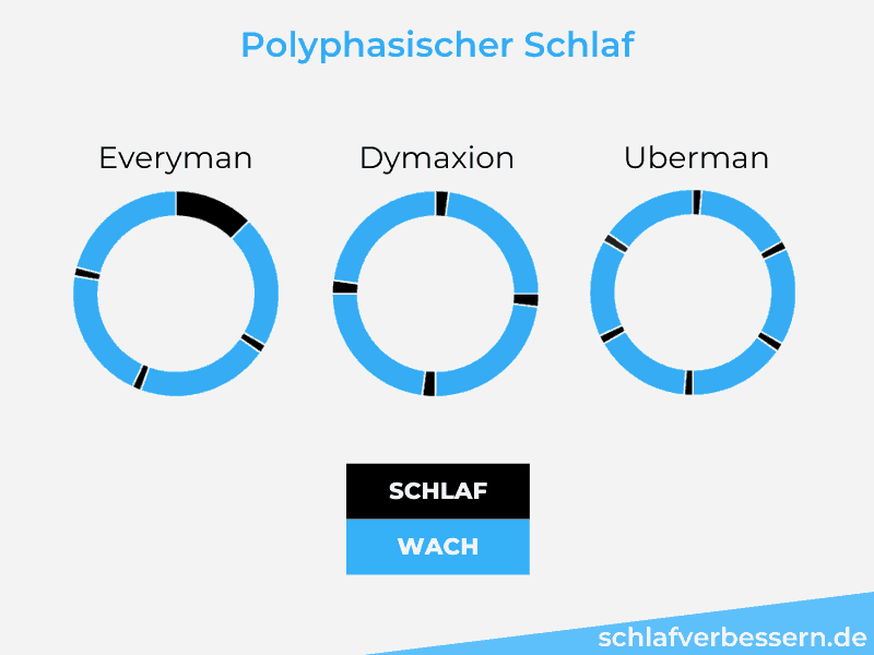 polyphasischer-schlaf-die-schlafmuster