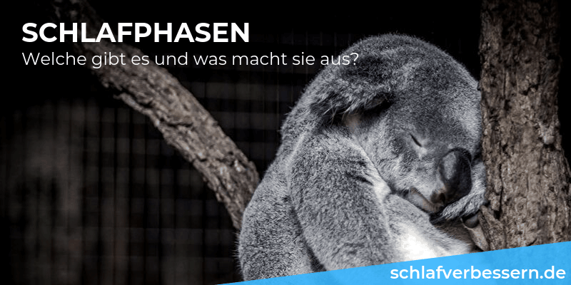 Schlafphasen: Das bewirken sie